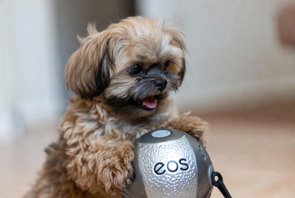 동행복권파워볼 게임 방법 설명서 + 동행파워볼 추천 + 동행 파워볼 사이트 기본 정보