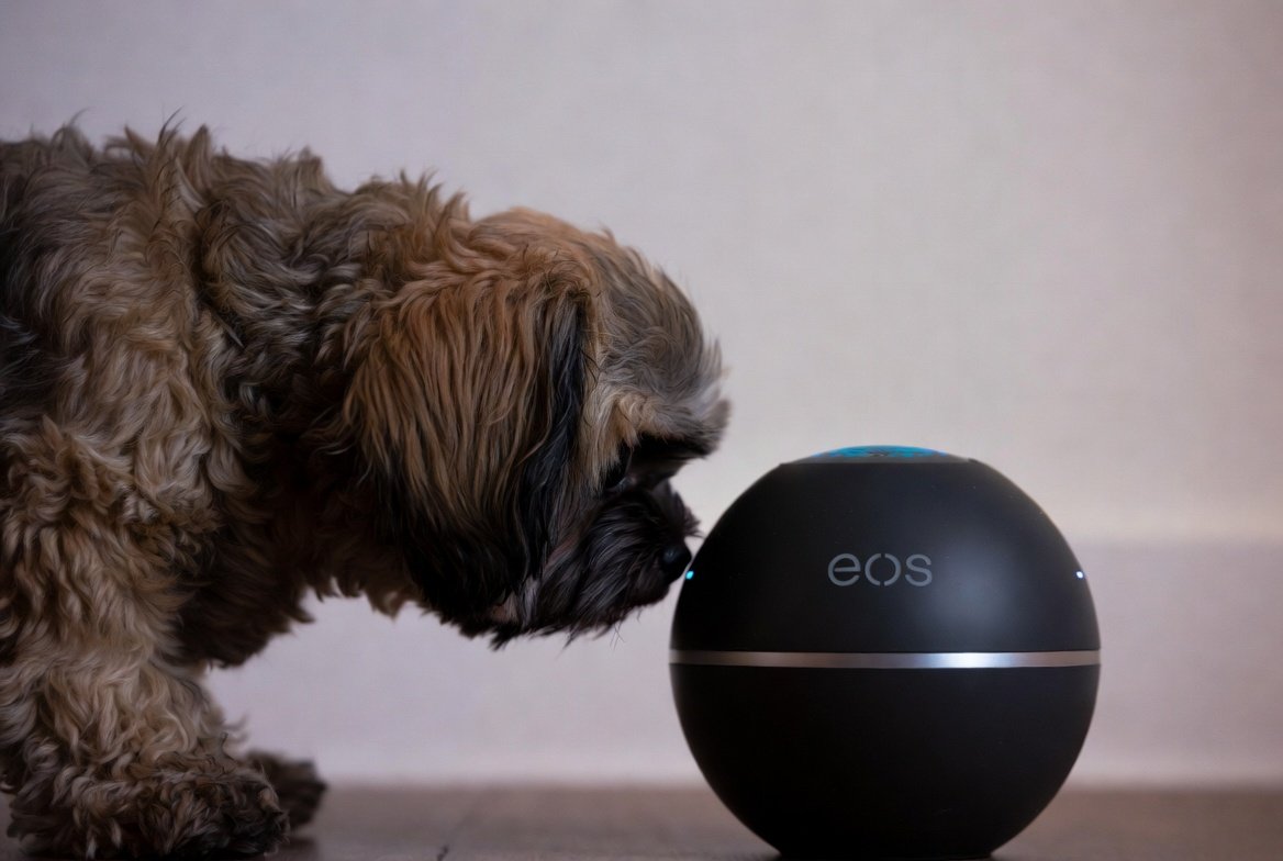 동행복권파워볼 게임 방법 설명서 + 동행파워볼 추천 + 동행 파워볼 사이트 기본 정보